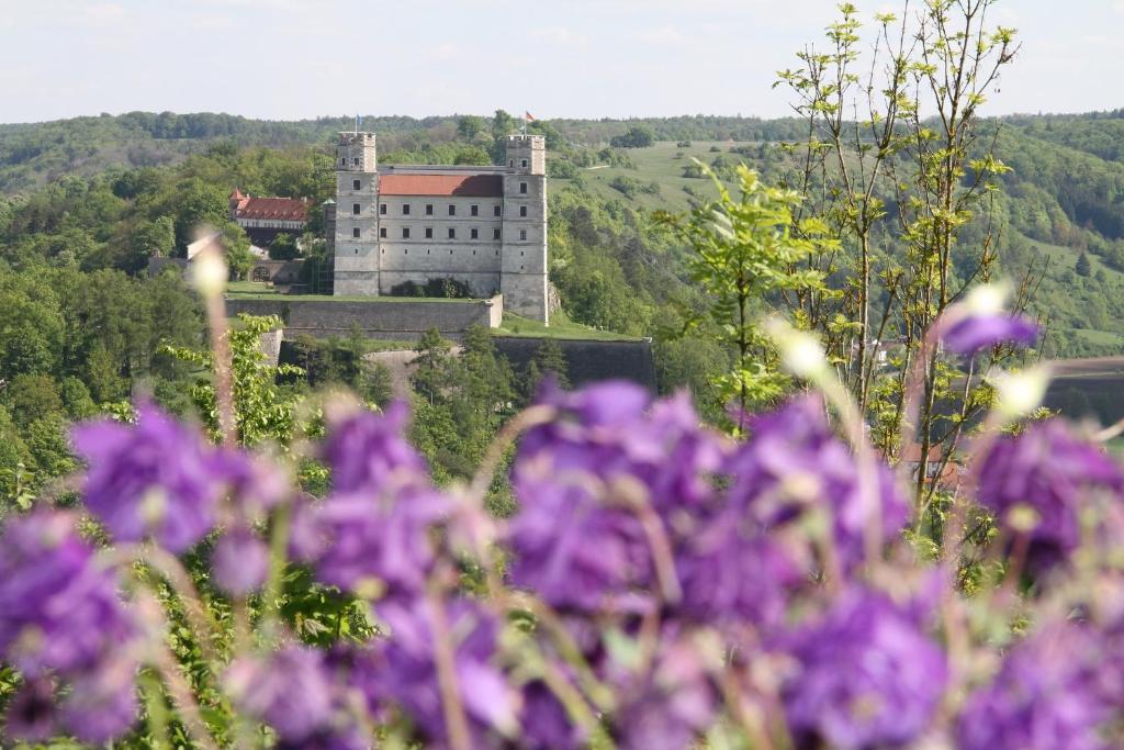 Wellnesshotel Schonblick Айхштет Экстерьер фото